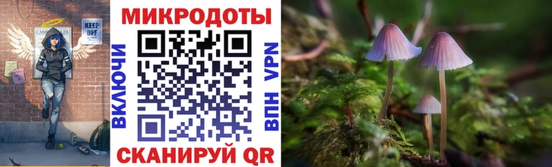 kraken   Одинцово  Галлюциногенные грибы Psilocybe 