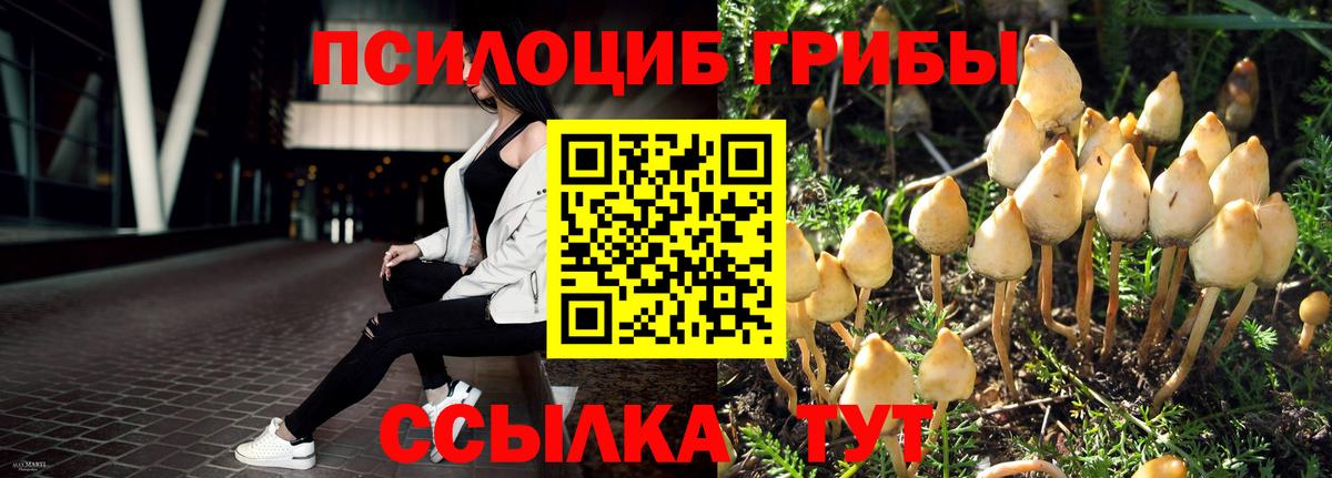 Одинцово  Псилоцибиновые грибы Psilocybe  купить закладку  Вход с VPN 