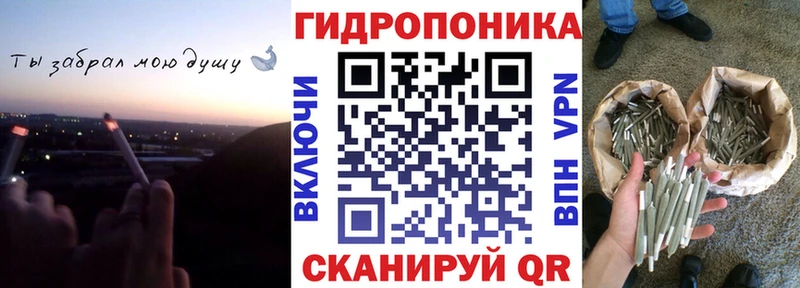 Конопля планчик где продают наркотики Одинцово